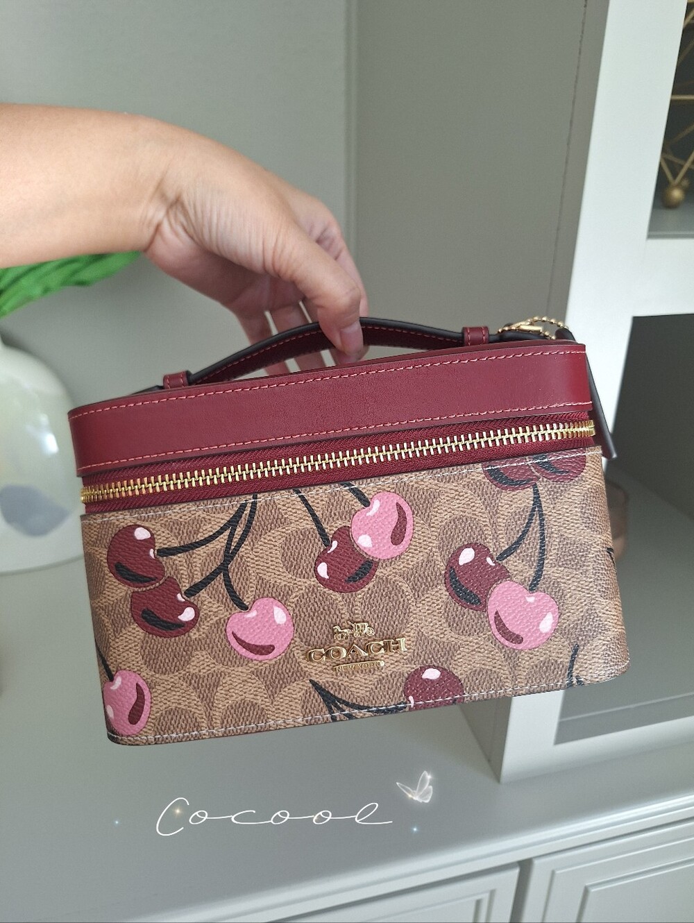 New COACH Cosmetic Case In Signature With Cherry Print（CZ025）FAST SHIP